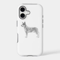 Australian Cattle Dog