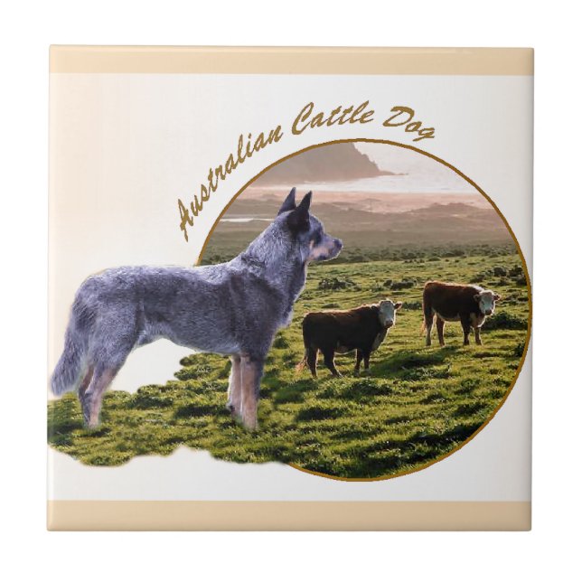 Australian Cattle Dog Art Tile (Front)