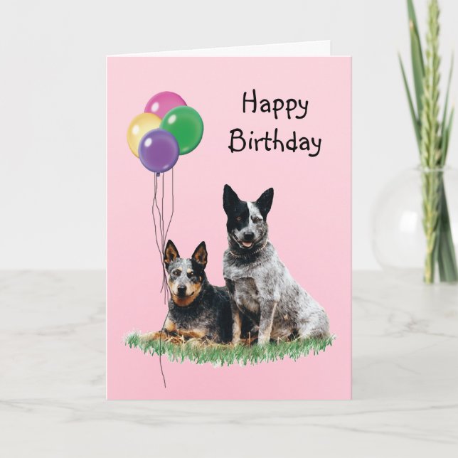 Australian Cattle Dog, Birthday Balloons Card (Front)