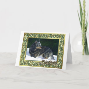 Australian Cattle Dog Blank Christmas Card