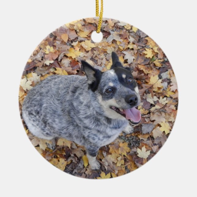 AUSTRALIAN CATTLE DOG BLUE HEELER CHRISTMAS ORNAME CERAMIC TREE DECORATION (Front)