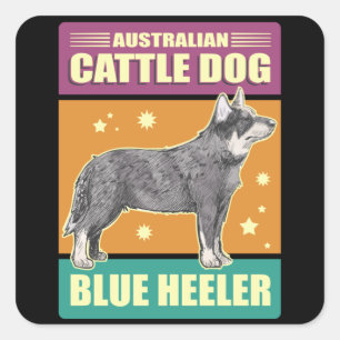 Australian Cattle Dog Blue Heeler   Dog Owner Square Sticker