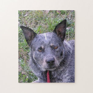 Australian_cattle_dog blue.png jigsaw puzzle