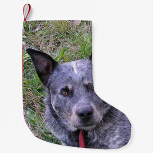 Australian_cattle_dog blue.png small christmas stocking