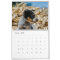 Australian Cattle Dog Calendar 2026