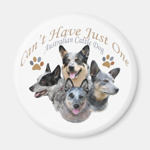 Australian Cattle Dog Can't Have Just One gifts Magnet