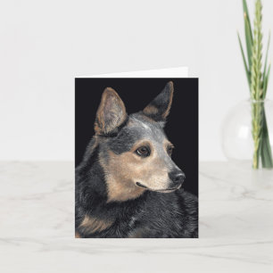 Australian Cattle Dog Card - "Quigley"