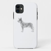 Australian Cattle Dog