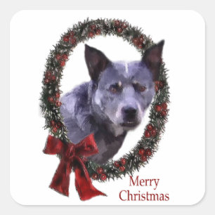 Australian Cattle Dog Christmas Square Sticker