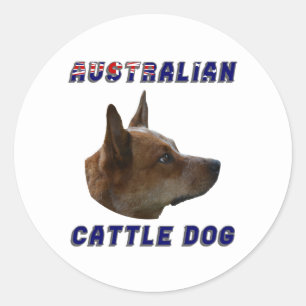Australian Cattle Dog Classic Round Sticker