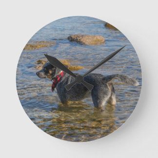 Australian Cattle Dog Clock