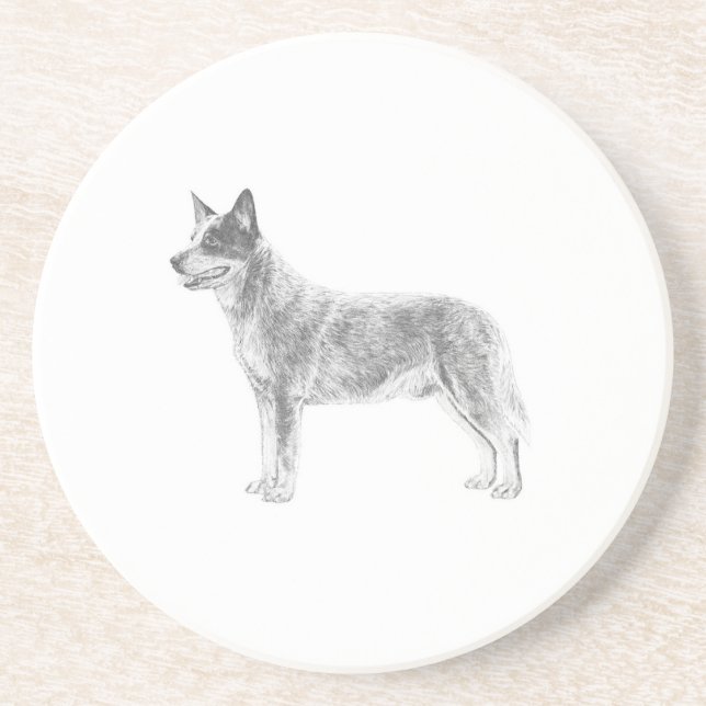 Australian Cattle Dog Coaster (Front)