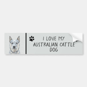 Australian Cattle Dog - Cute Original Dog Art Bumper Sticker