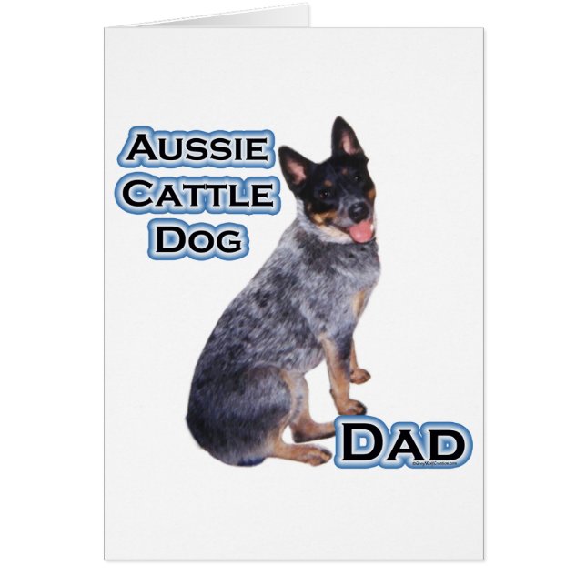 Australian Cattle Dog Dad 4 (Front)