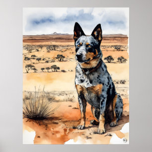 Australian Cattle Dog - Dog Art Print