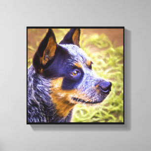 Australian Cattle Dog - Dog Portrait Canvas Print