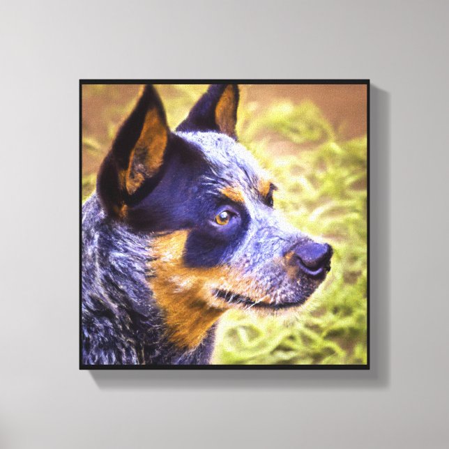 Australian Cattle Dog - Dog Portrait Canvas Print (Front)