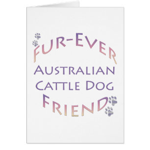 Australian Cattle Dog Furever