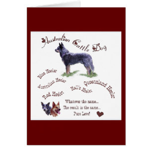 Australian Cattle Dog Gifts