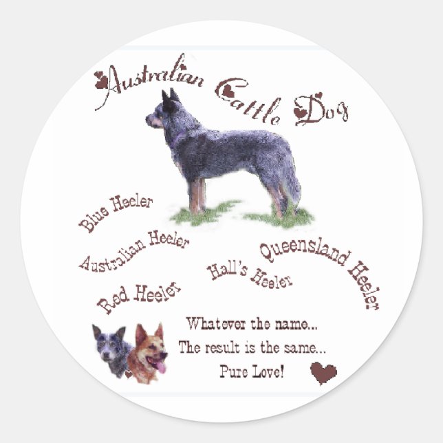 Australian Cattle Dog Gifts Classic Round Sticker (Front)