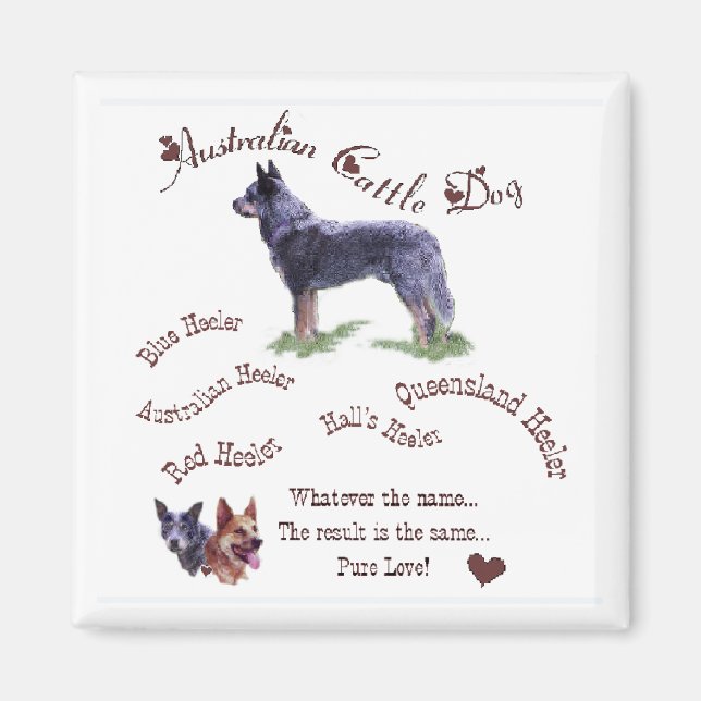 Australian Cattle Dog Gifts Magnet (Front)