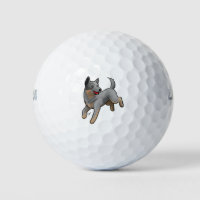 Australian Cattle Dog