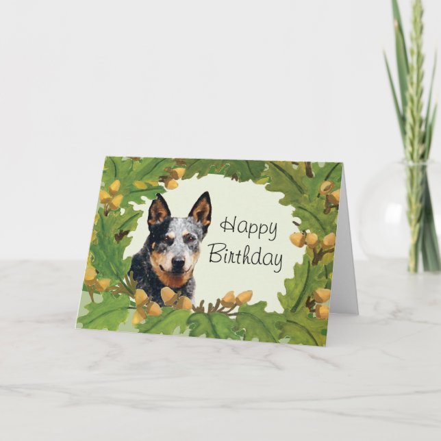 Australian Cattle Dog Happy Birthday Card (Front)
