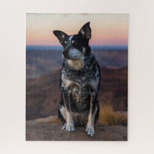 Australian Cattle Dog Heeler - Sunset - Jigsaw Puzzle