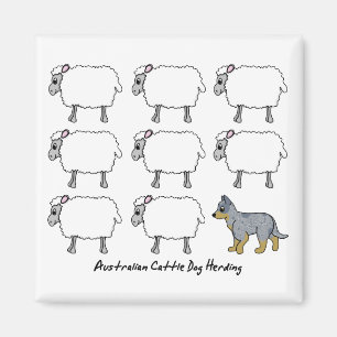 Australian Cattle Dog Herding Sheep Magnet