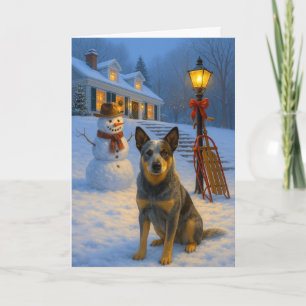 Australian Cattle Dog  Holiday Card