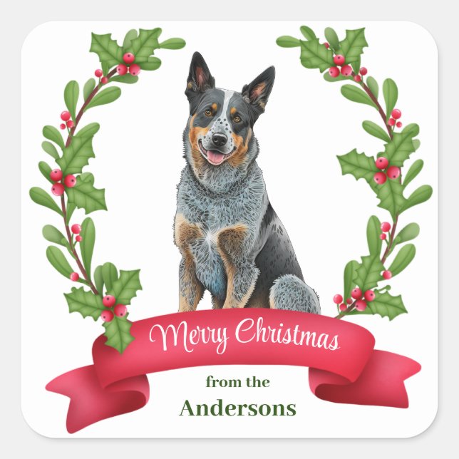 Australian Cattle Dog Holly Banner Christmas Square Sticker (Front)