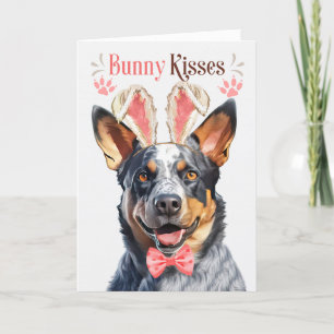 Australian Cattle Dog in Bunny Ears for Easter Holiday Card