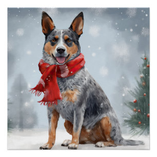 Australian Cattle Dog in Snow Christmas Poster
