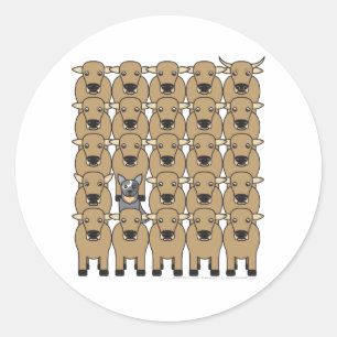 Australian Cattle Dog in the Herd Classic Round Sticker