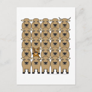 Australian Cattle Dog in the Herd Postcard