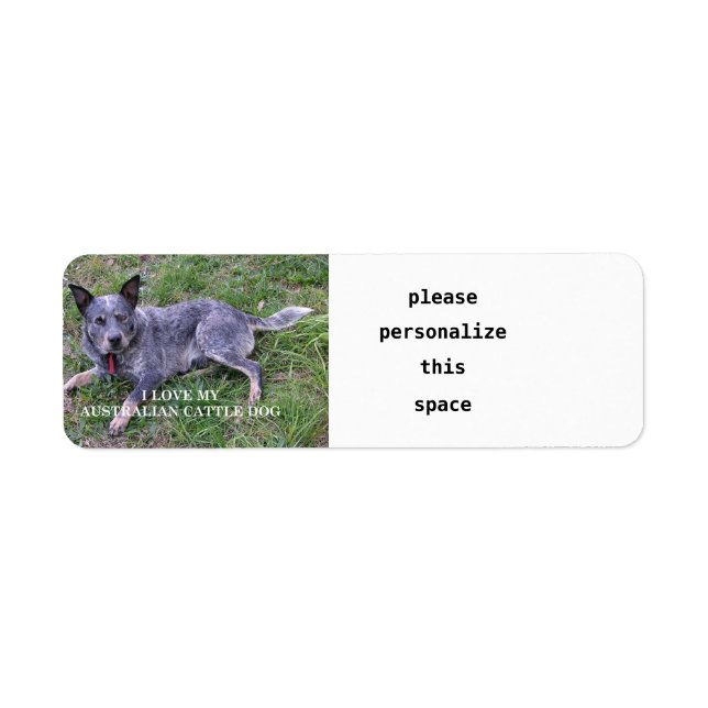 Australian cattle dog love w pic (Front)