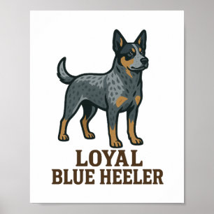 Australian Cattle Dog Loyal Blue Heeler Poster