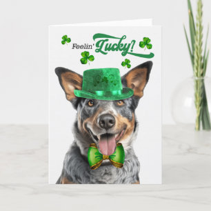 Australian Cattle Dog Lucky St Patrick's Day Holiday Card