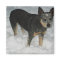 Australian Cattle Dog Magnet