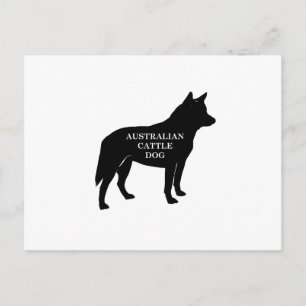 australian cattle dog name silo postcard
