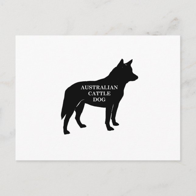 australian cattle dog name silo postcard (Front)