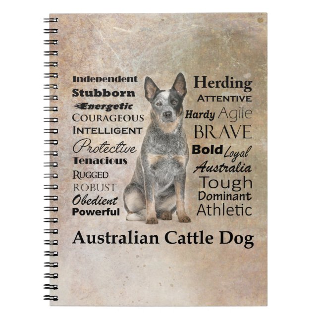 Australian Cattle Dog Notebook (Front)