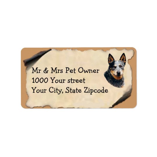 Australian Cattle Dog on Old Parchment Address Label