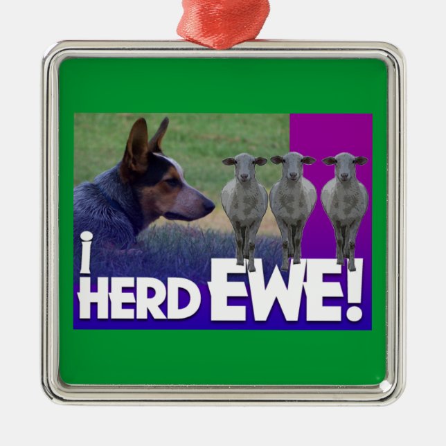 AUSTRALIAN CATTLE DOG  ORNAMENT I HERD EWE (Front)