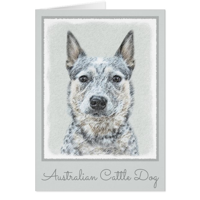 Australian Cattle Dog Painting - Cute Original Art (Front)