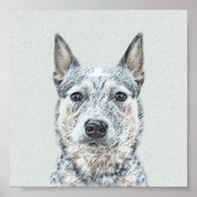 Australian Cattle Dog Painting - Cute Original Art Poster (Front)