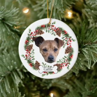 Australian Cattle Dog Personalised Pet Ornament