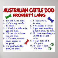 AUSTRALIAN CATTLE DOG PL2