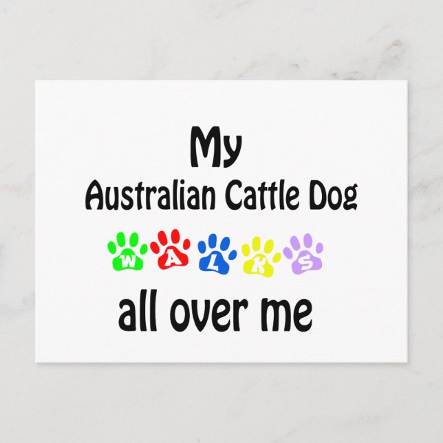 Australian Cattle Dog Postcard (Front)