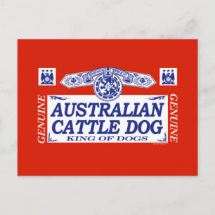 Australian Cattle Dog Postcard